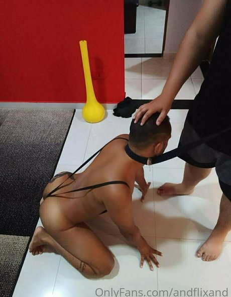 andflixand high quality pornstar picture