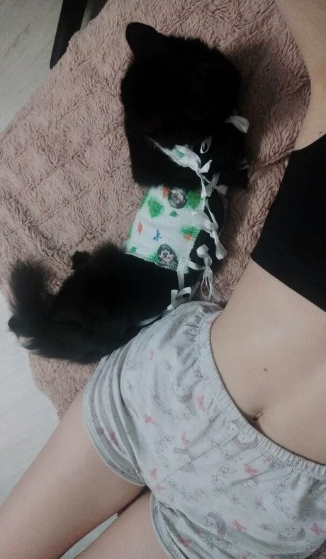 OwlLit Photo Gallery