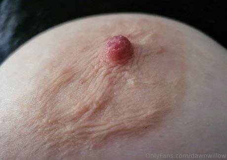 dawnwillow model sexy photos