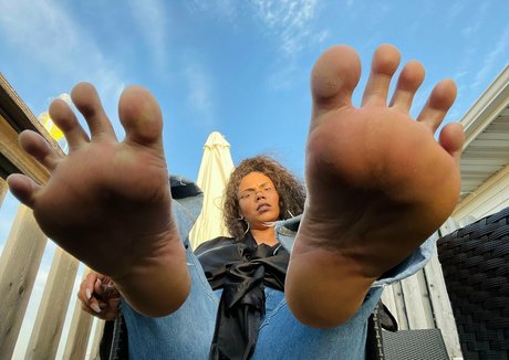 alpha4envy star hd archive