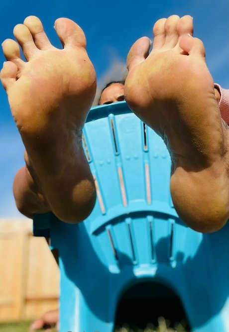 alpha4envy pornographic star archive