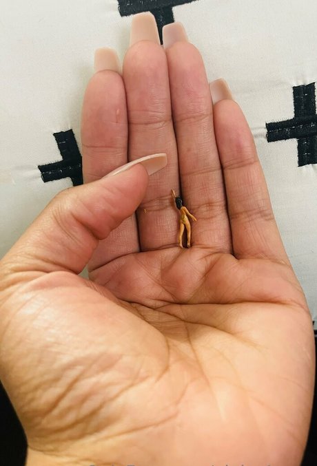 alpha4envy hot star archive