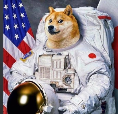 freemadbadvoodoo beautiful actress picture