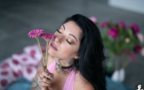 Alerose top star picture