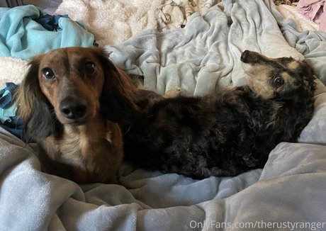 therustyranger pornstar art image