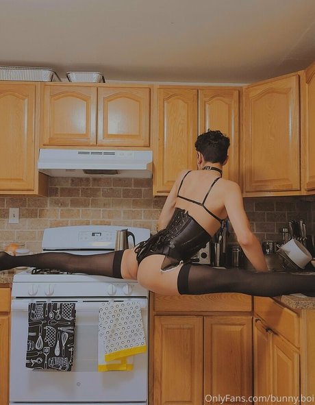 twinku Photo Gallery