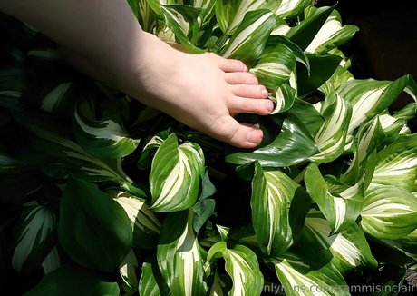 sammisinclair nice actress pics