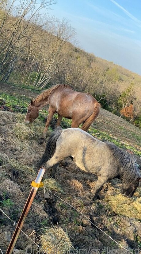 Spellbound pornstar best photos