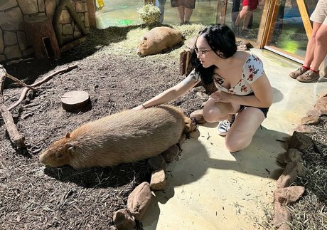 shemale fucks girl onlyfans free xxx images