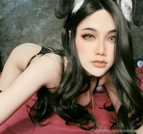 Dreamtamu star nice galleries