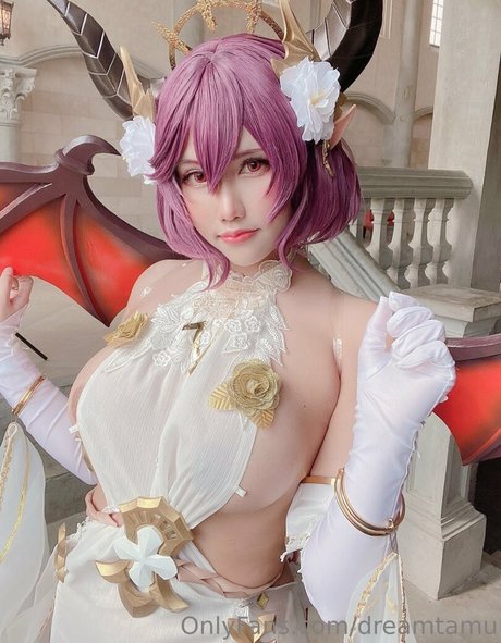 Dreamtamu top star pictures