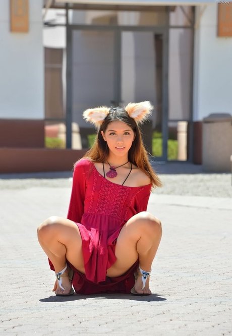 bbw shemale onlyfans best picture