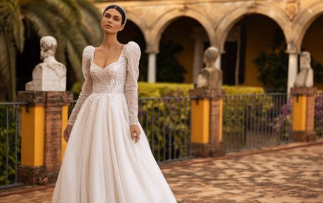 best pussy onlyfans top img