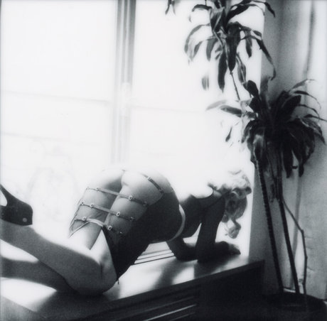 Shelbie Dimond erotic pornstar archive