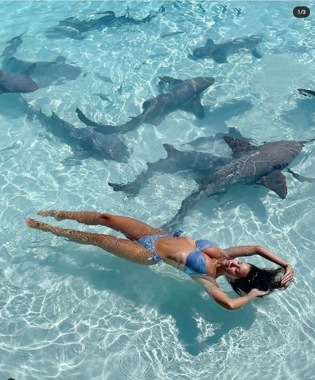 gloryhole girls onlyfans adult galleries