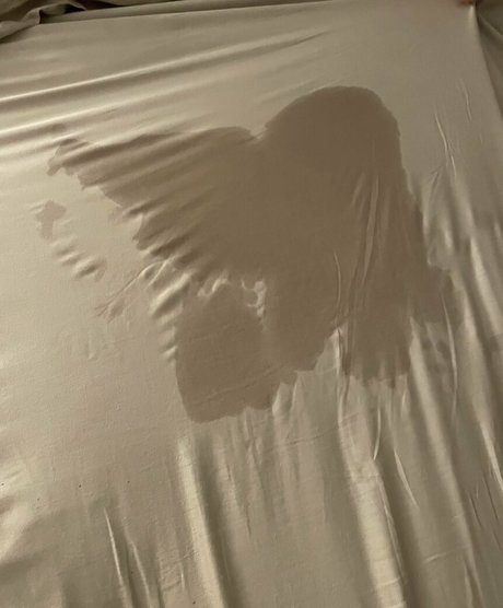 bellabeloved3 free star archive