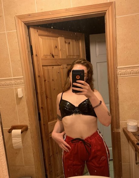 freckle fox star art picture