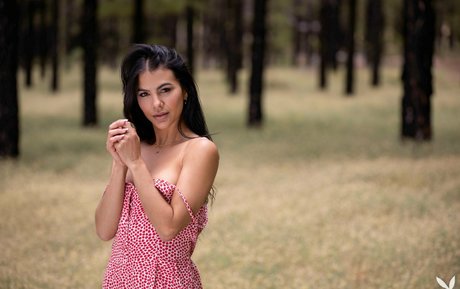 hairy bbw onlyfans art naked images