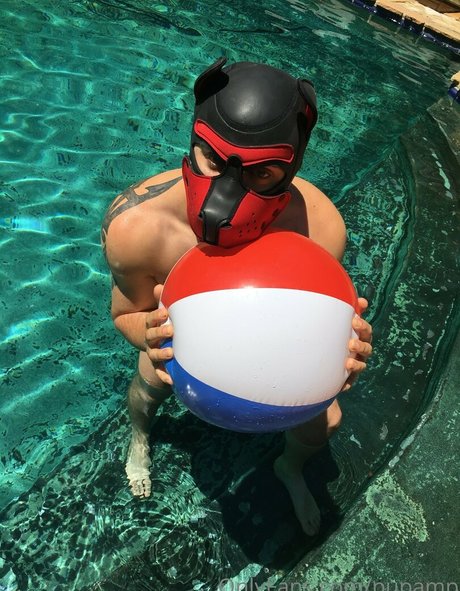 pupamp sexy pornstar picture