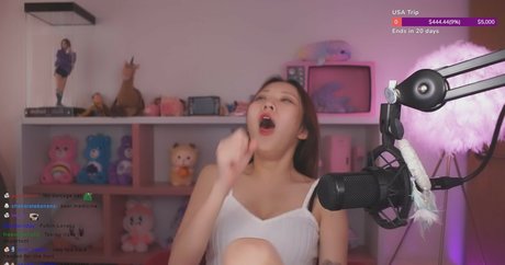 Beddle1218 star perfect galleries