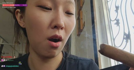 Beddle1218 nude pornstar img