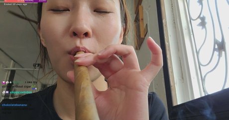 Beddle1218 perfect star img