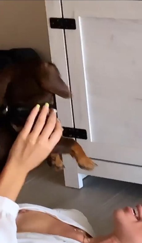 Betsy Alvarez sexy pornstar img