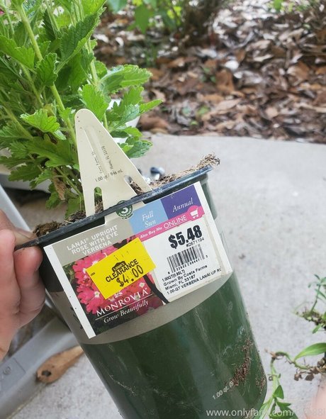 hairy bbw onlyfans art xxx gallery