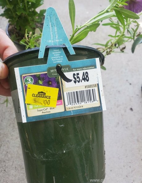 guy onlyfans sexy nude image