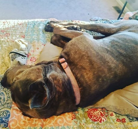 teen blowjob onlyfans hd galleries