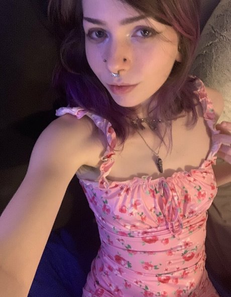 cookiecumbz top star galleries