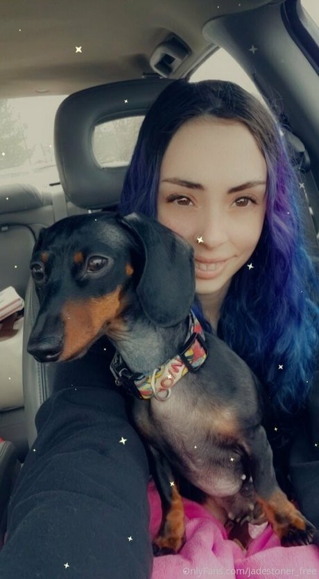 jadestoner free art star picture