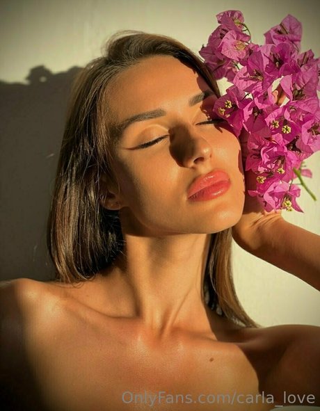carla love model pornographic pictures