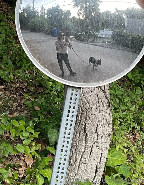 ceecoco pornstar best img