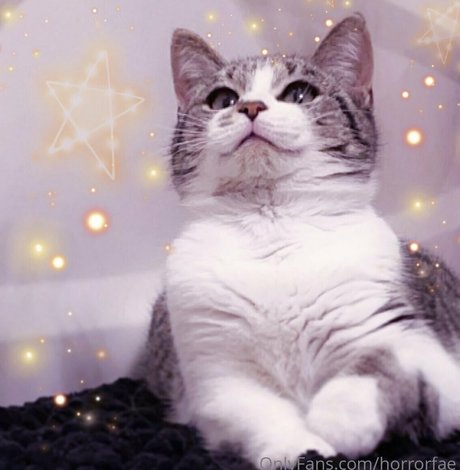 lewdfaerie perfect actress pic