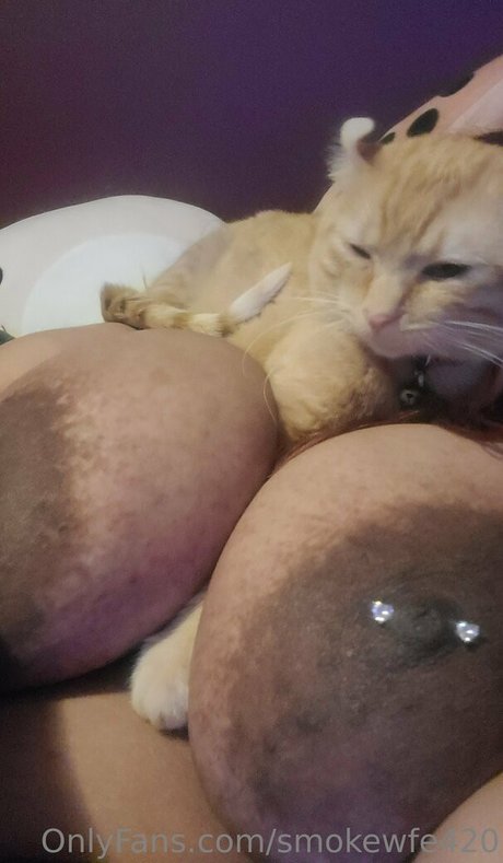 smokewfe420 pornstar nudes pic