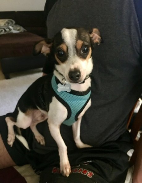 callmecandacee pornstar pretty pic