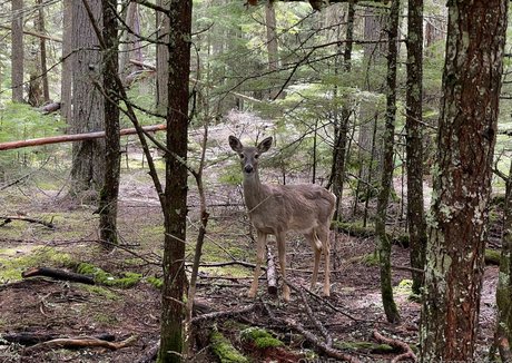 shemale outdoor onlyfans beautiful porn image