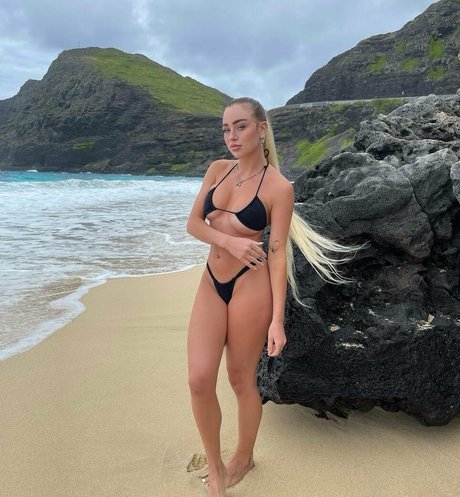 Viperous Profile Photo