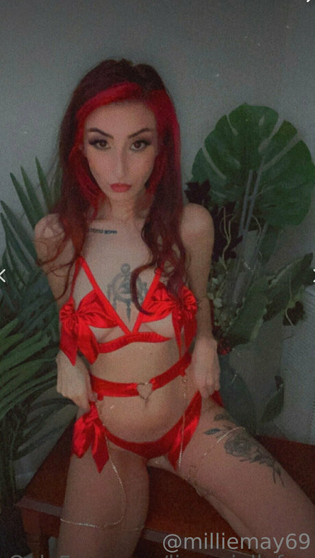 2024 top onlyfans sexy images