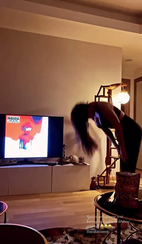 neskaranow pornographic star galleries