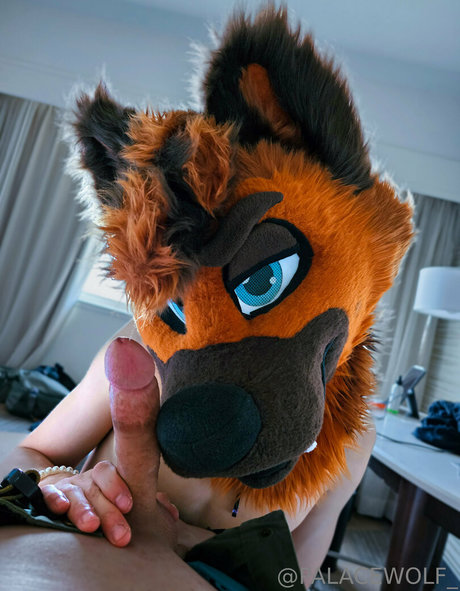 palacewolf nudes actress pics