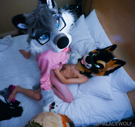 palacewolf nice actress image