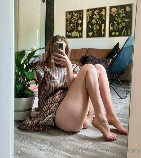 cencherry model top img