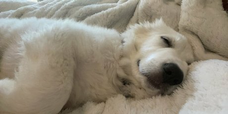 kittenginger hd actress photos