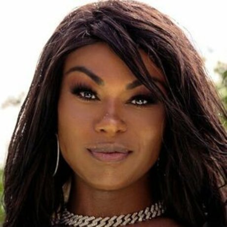 Walleskafelix_ best model img