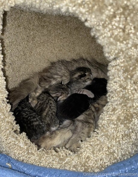 mollymaeve sexy model photos