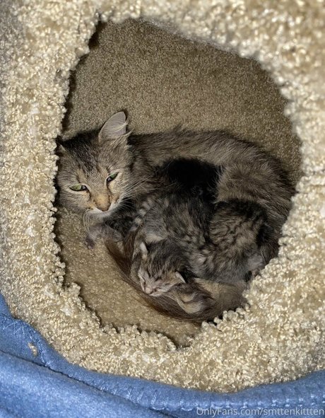 mollymaeve star beautiful photo