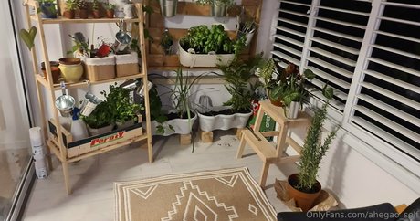 Ahegaoself model nude pics