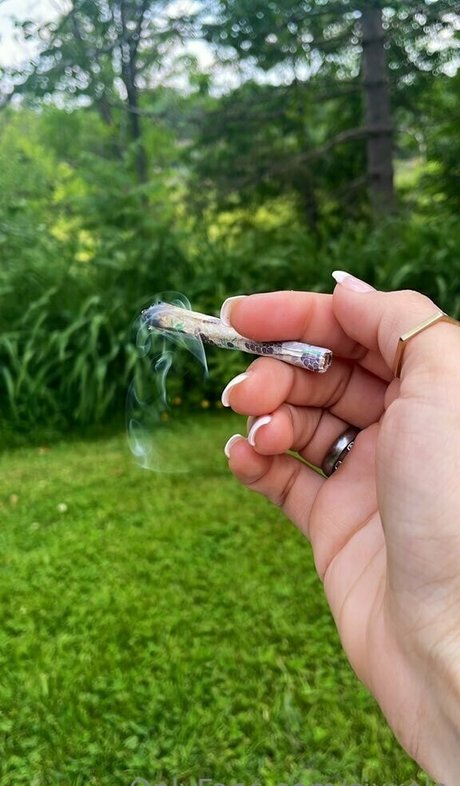 sixxela nice star galleries